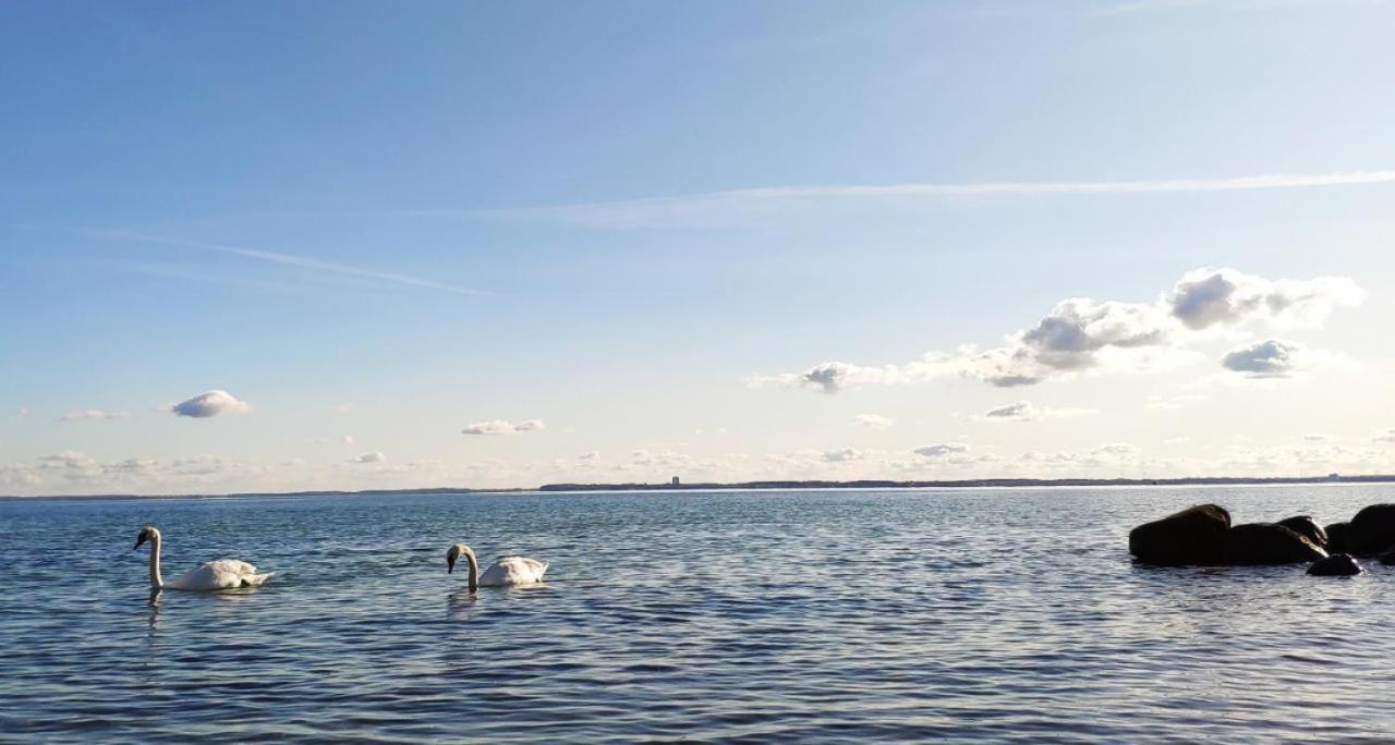 Zum Wohlfuhlen Fur 4 Erwachsene +1 Kind, Schwimmbad Vor Der Tur Tiere Erlaubt Apartamento Sierksdorf Exterior foto