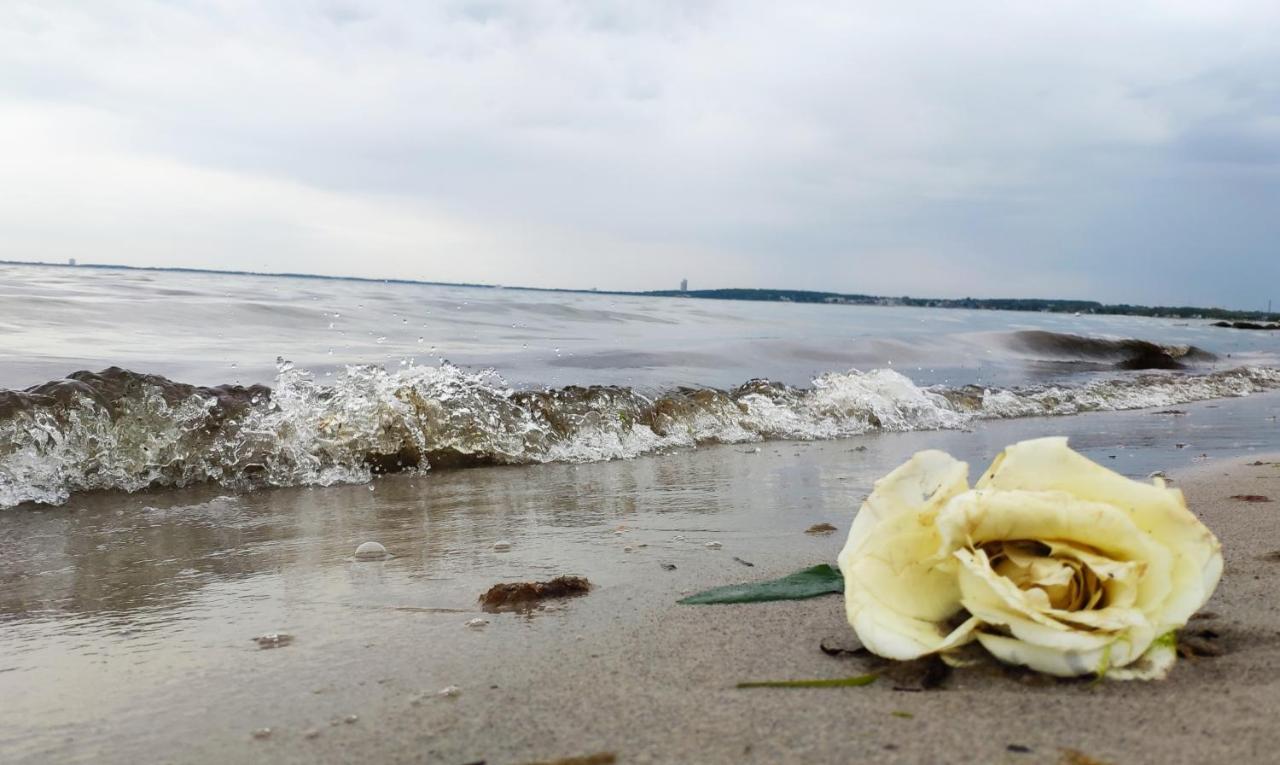 Zum Wohlfuhlen Fur 4 Erwachsene +1 Kind, Schwimmbad Vor Der Tur Tiere Erlaubt Apartamento Sierksdorf Exterior foto