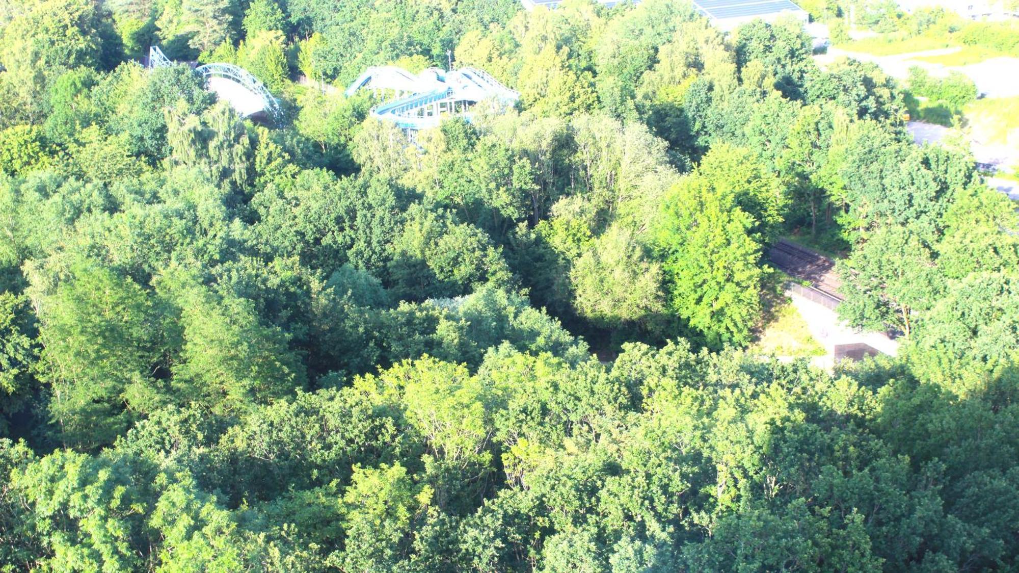 Zum Wohlfuhlen Fur 4 Erwachsene +1 Kind, Schwimmbad Vor Der Tur Tiere Erlaubt Apartamento Sierksdorf Exterior foto